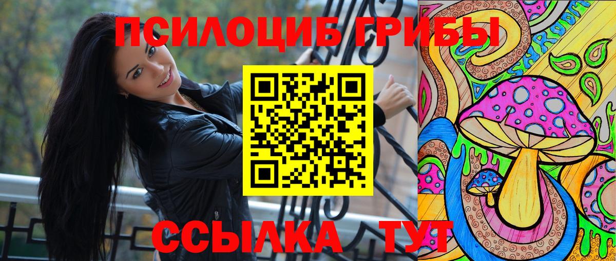 Псилоцибиновые грибы Cubensis  Галлюциногенные грибы Cubensis  Вход с VPN  Тамбов 